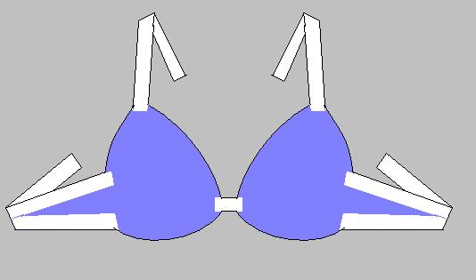 How do you attach the beaded bra strap onto your bra ? Let's do